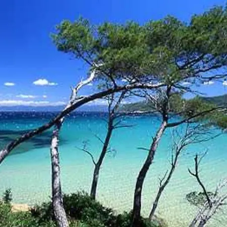 Hebergements Bateaux A Quai * Porquerolles