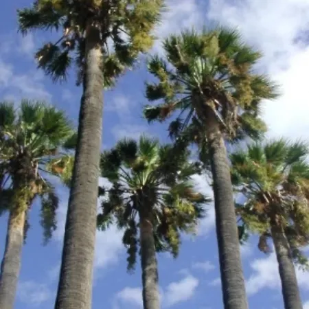 Hebergements Bateaux A Quai * 波克罗勒岛