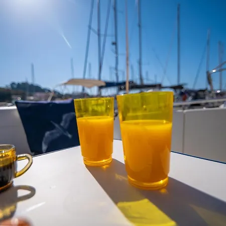 Hebergements Bateaux A Quai 波克罗勒岛