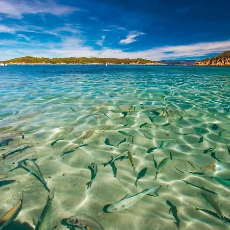 Hebergements Bateaux A Quai * 波克罗勒岛